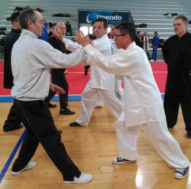 Taijiquan e tuishou - raduno PWKF - Associazione Ninhao